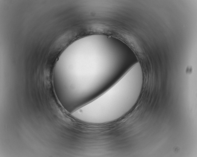 X0000092260457200709141029