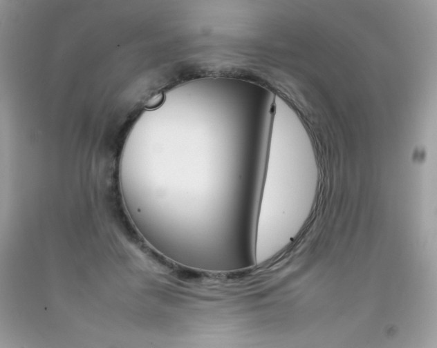 X0000092260458200709141029
