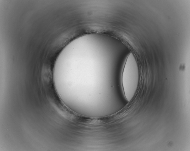 X0000092260459200709141029