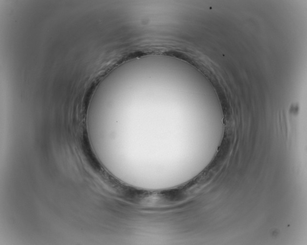 X0000092260460200709141029