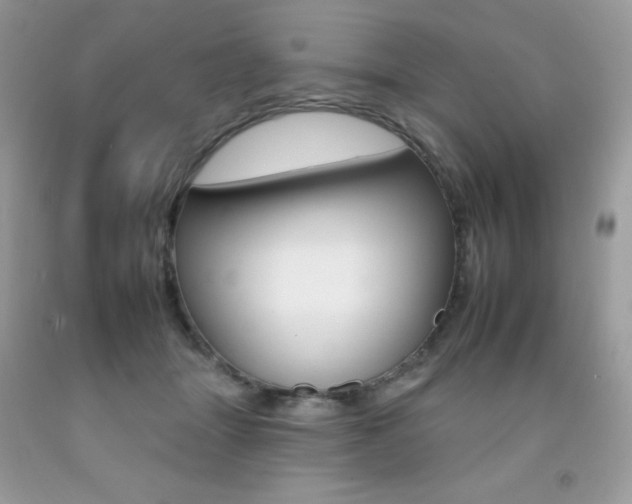 X0000092260463200709141029
