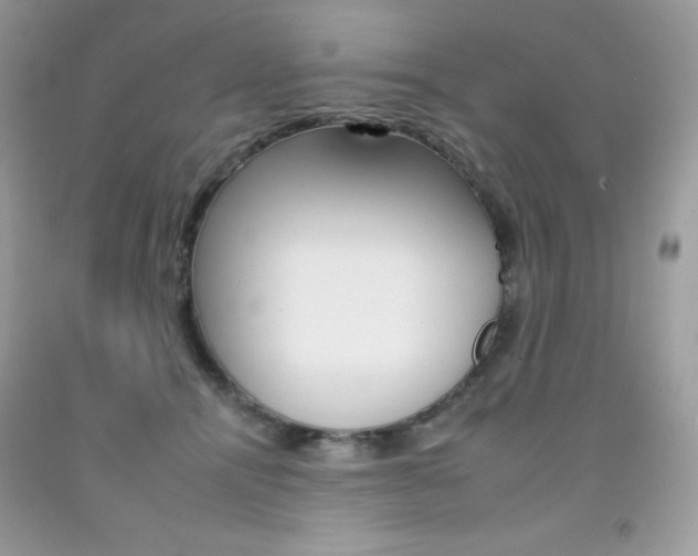 X0000092260464200709141029
