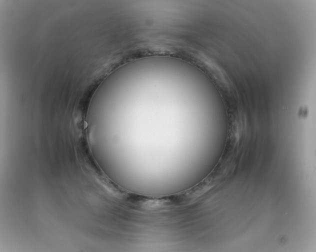 X0000092260465200709141029