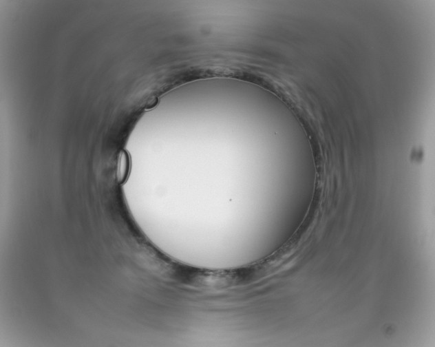 X0000092260466200709141029