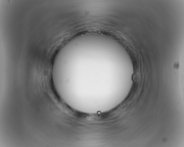 X0000092260468200709141029