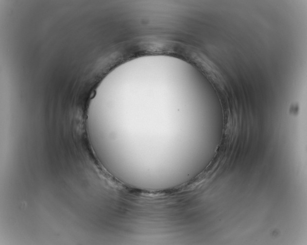 X0000092260469200709141029