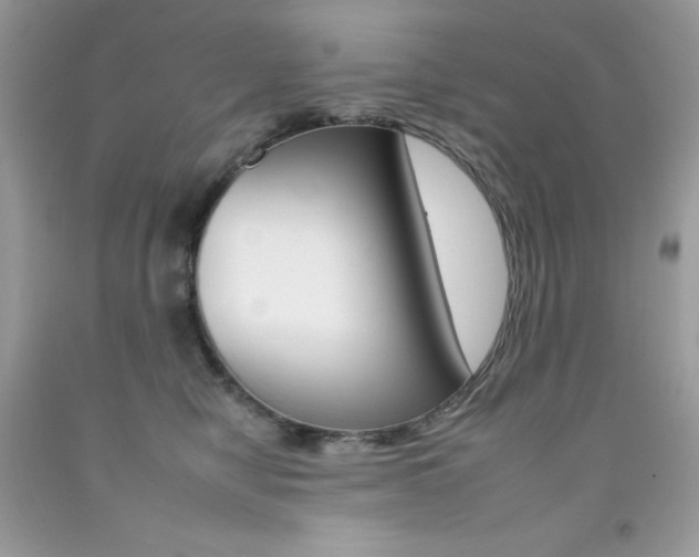 X0000092260470200709141029