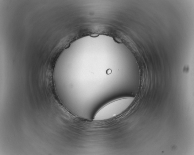 X0000092260473200709141030