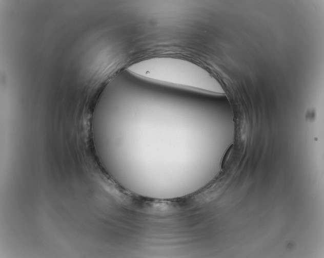 X0000092260475200709141030