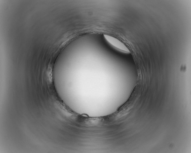 X0000092260479200709141030