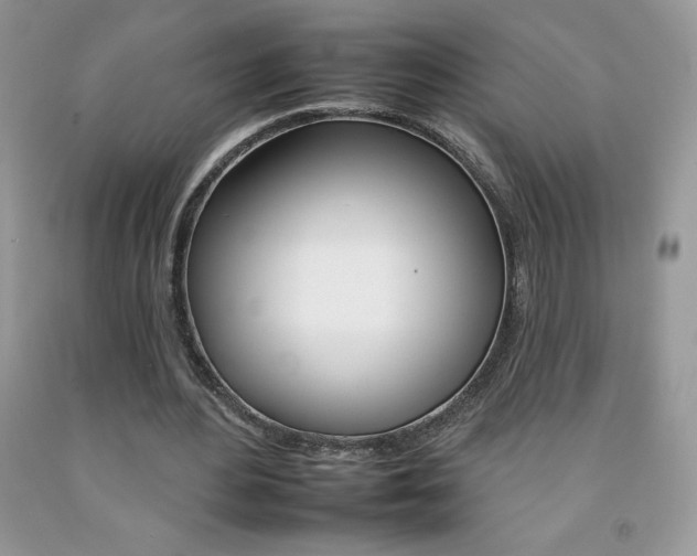 X0000092260484200709141029