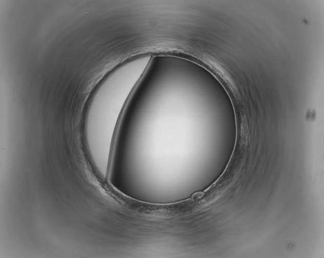 X0000092260485200709141029