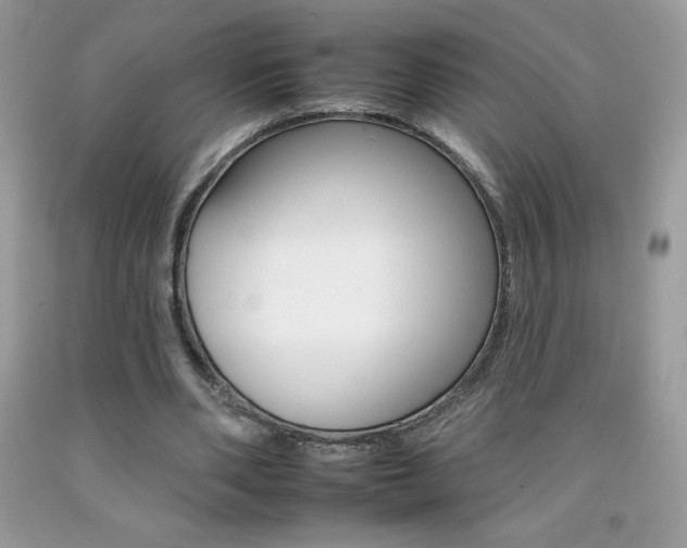 X0000092260486200709141029