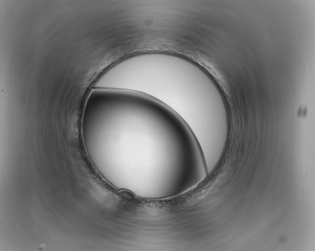 X0000092260489200709141029