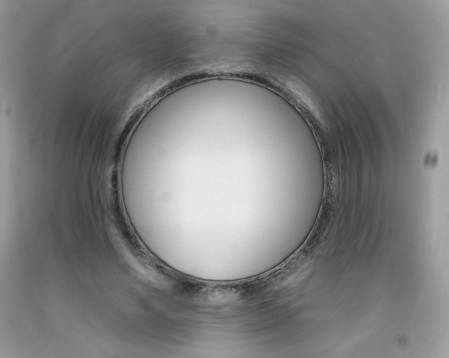X0000092260491200709141029