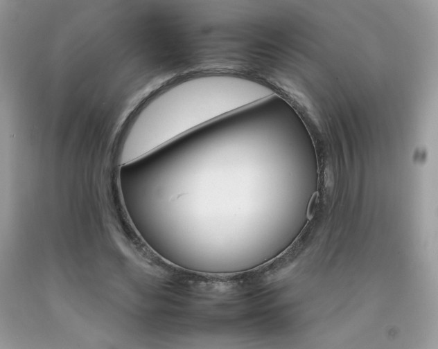 X0000092260492200709141029