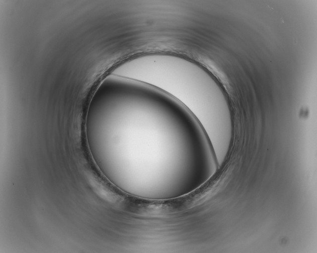 X0000092260493200709141029