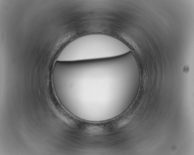 X0000092260494200709141029