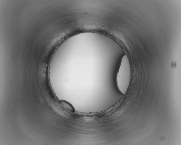 X0000092260495200709141029