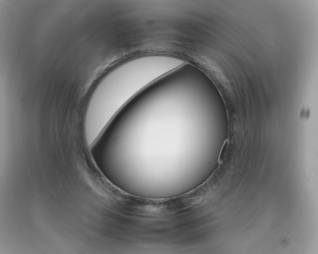 X0000092260496200709141029