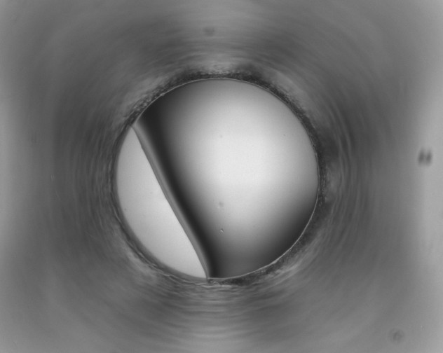 X0000092260497200709141029