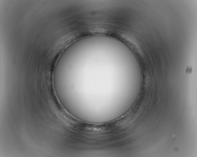 X0000092260498200709141029