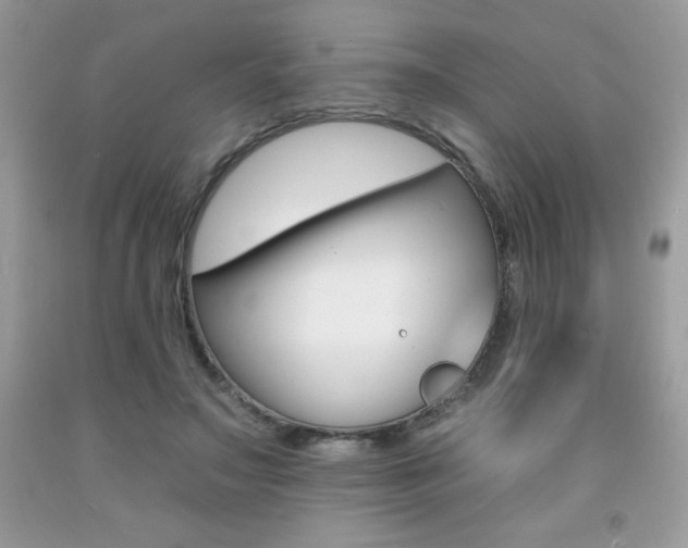 X0000092260499200709141029