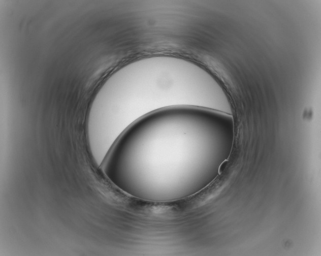 X0000092260501200709141029