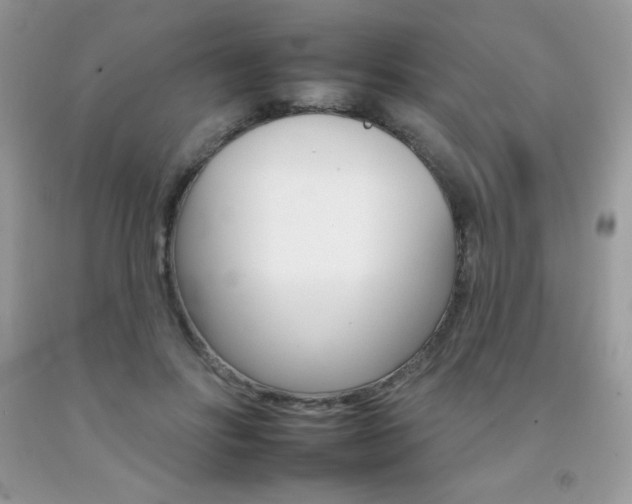 X0000092260502200709141029