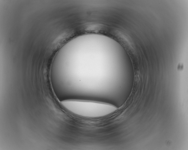 X0000092260504200709141029