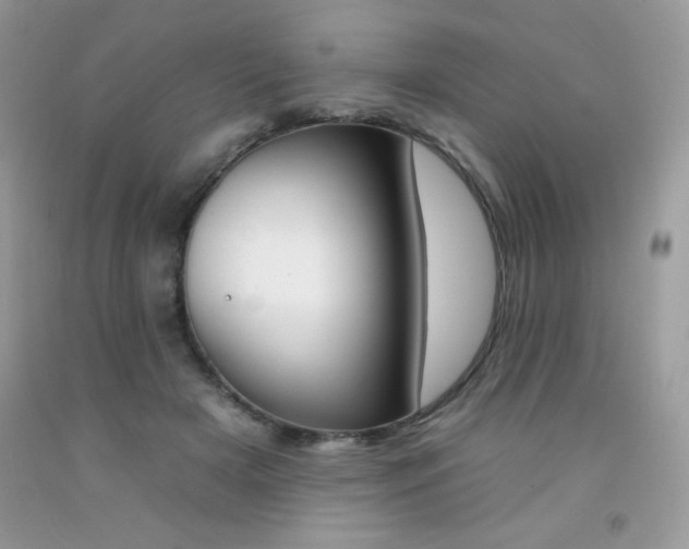X0000092260505200709141029