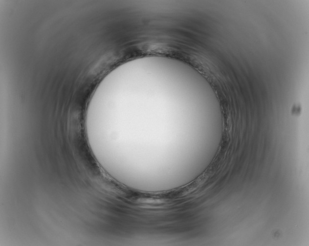 X0000092260506200709141029