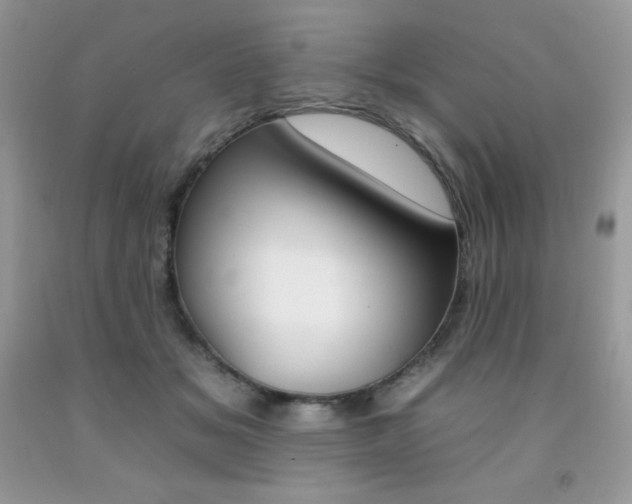 X0000092260509200709141028