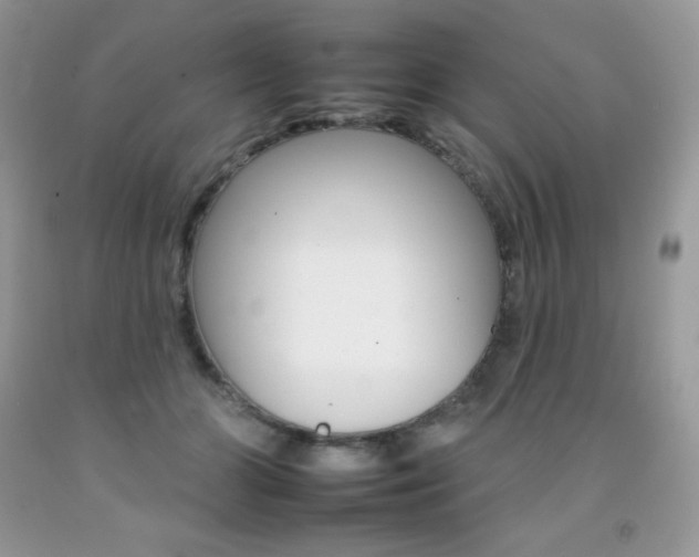 X0000092260510200709141028