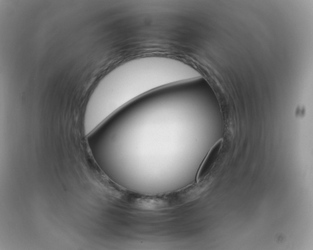 X0000092260512200709141028