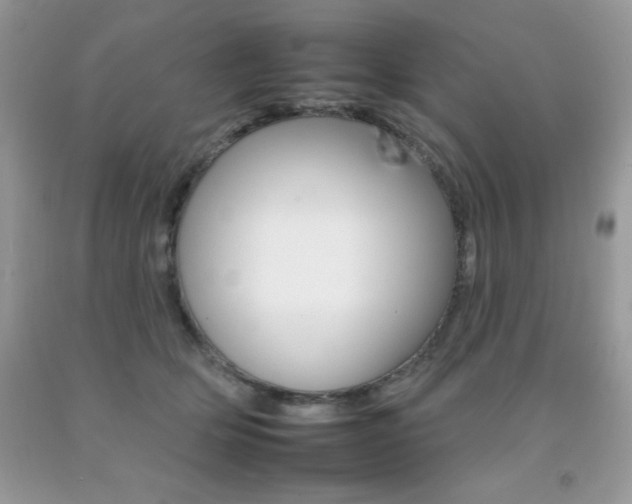 X0000092260514200709141028