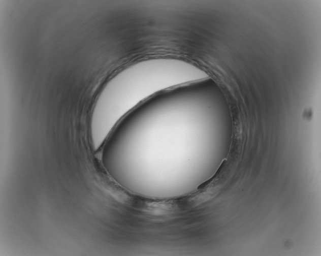 X0000092260516200709141028