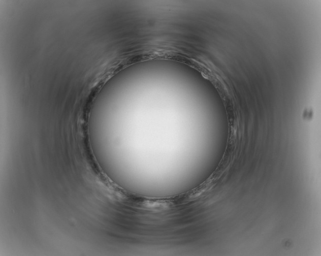 X0000092260520200709141028