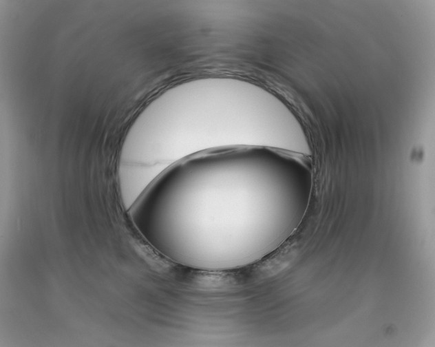 X0000092260521200709141028