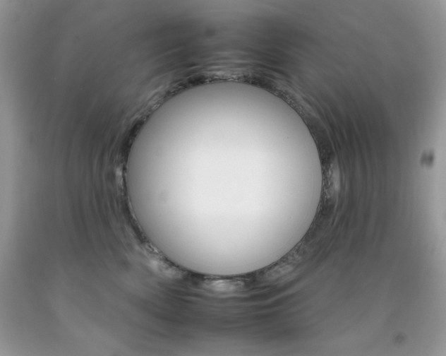 X0000092260522200709141028