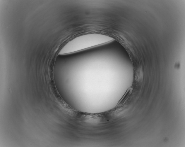 X0000092260524200709141028