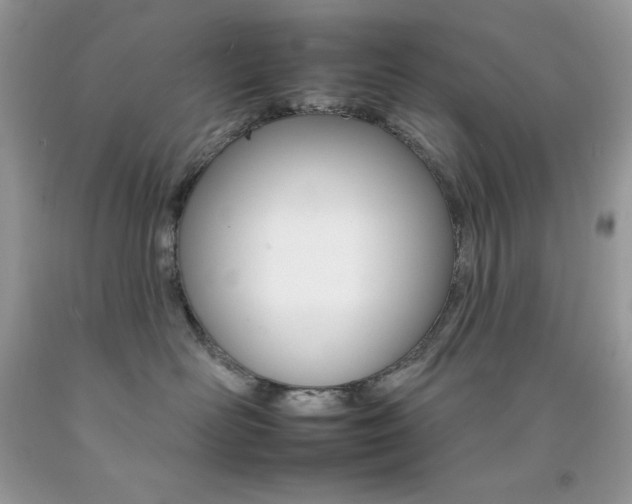 X0000092260526200709141028