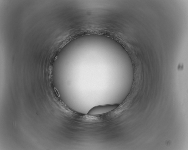 X0000092260528200709141028
