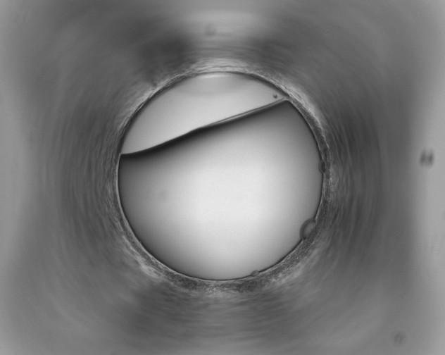 X0000092260529200709141028