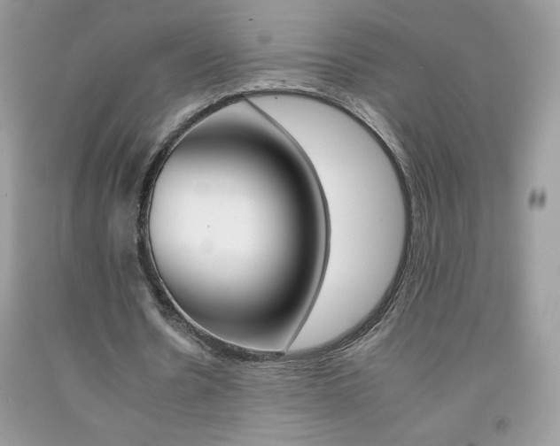 X0000092260530200709141028