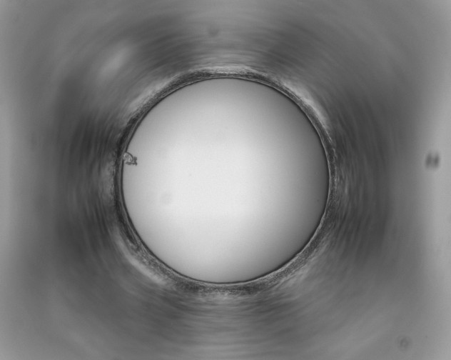 X0000092260533200709141028