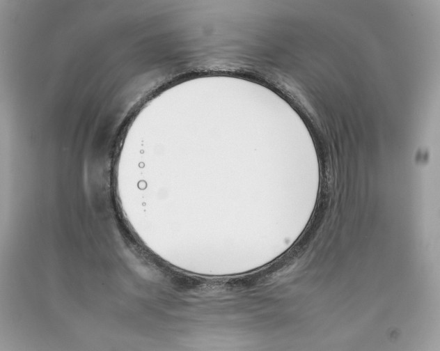 X0000092260534200709141028