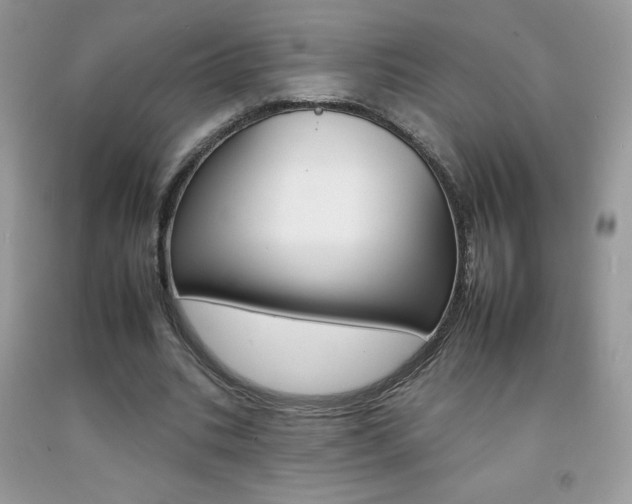 X0000092260535200709141028