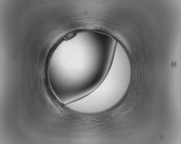 X0000092260536200709141028