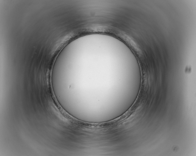 X0000092260537200709141028